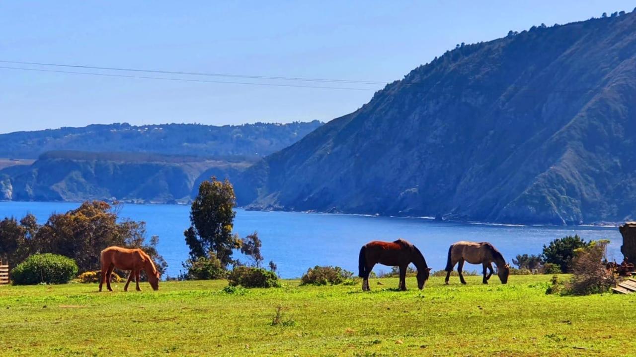 Cabana En Tunquen Con Parrilla, Fogon, Piscina Y Bosque Bagian luar foto
