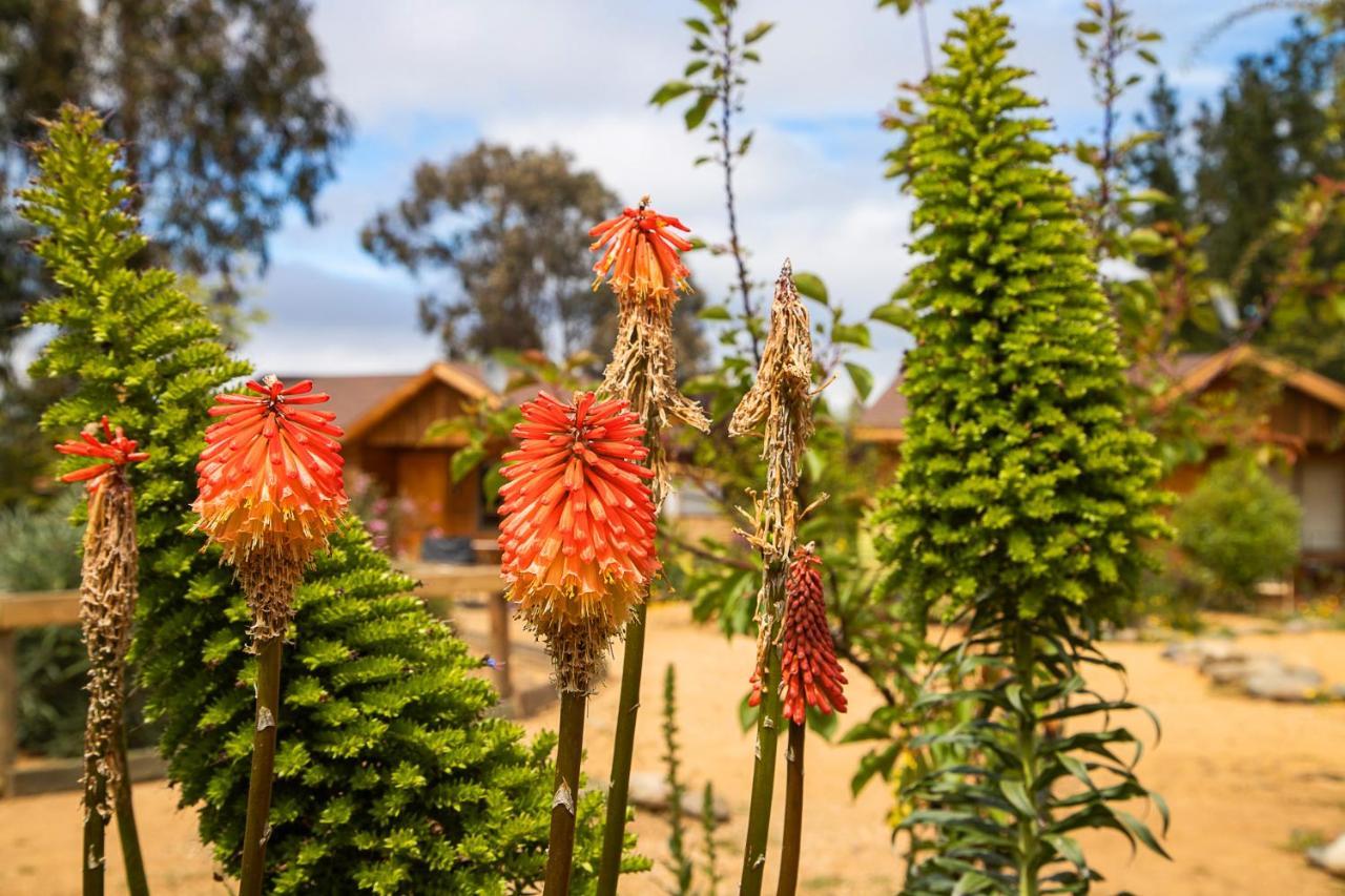 Cabana En Tunquen Con Parrilla, Fogon, Piscina Y Bosque Bagian luar foto