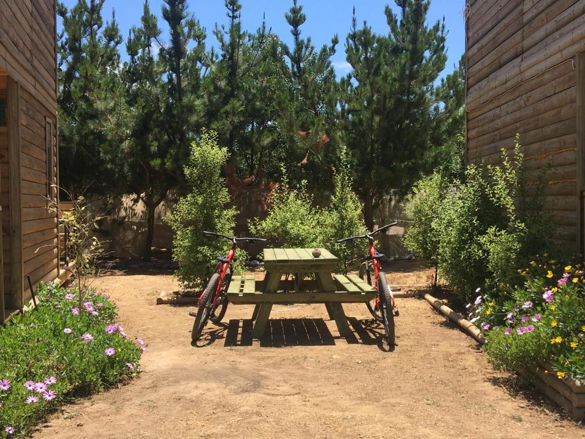 Cabana En Tunquen Con Parrilla, Fogon, Piscina Y Bosque Bagian luar foto