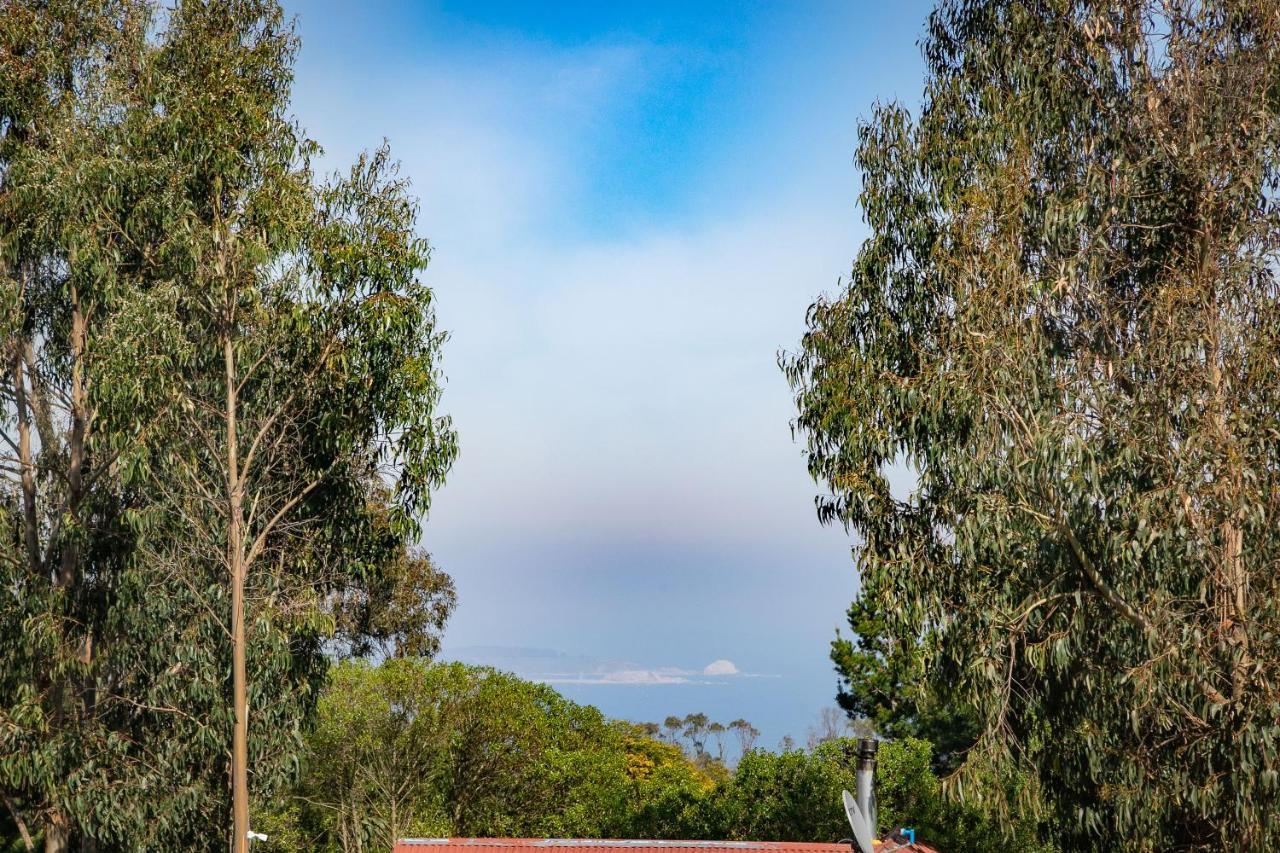 Cabana En Tunquen Con Parrilla, Fogon, Piscina Y Bosque Bagian luar foto